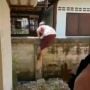 Masih Kuat, Aksi Nenek Ini Panjat Tembok Bikin Netizen Kaget