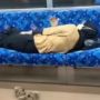 Berasa Kereta Punya Nenek Moyang, Mbak-mbak Berhijab Santai Tiduran Di Kursi KRL, Netizen: Kalau Lagi Dapet Suka Gitu