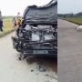 Heboh Peristiwa Mobil Tabrak Sapi, Bagian Bumper Depan Ringsek, Sapi Mati di Tempat