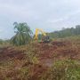 Curhat Petani soal Kebun Sawit Diserobot Perusahaan HTI di Riau: Ini Tanah Saya!