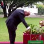 Tiba di Istana Bogor, Presiden Republik Federal Jerman Diajak Jokowi Tanam Pohon Cendana