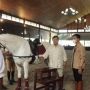 Ajari Wali Kota Surakarta Gibran Rakabuming Berkuda, Prabowo Tuai Pujian Netizen