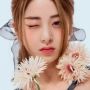 Netizen Sebut Yunjin LE SSERAFIM Jadi ARMY Paling Sukses karena Alasan Ini