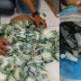 Bisa Dicoba! 1,5 Tahun Kumpulkan Uang Rokok Rp 20 Ribu Per Hari, Pria ini Mampu Beli Cash Satu Sepeda Motor
