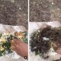 Bikin Geram! Lagi Dimakan, Nasi Bungkus Pemuda Ini Tiba-tiba Dilempari Tanah oleh Teman, Diduga Cuma Demi Konten