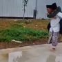 Viral Aksi Seorang Bapak Gendong Anaknya yang Khatam Al-Quran, Publik Dibuat Terharu: Iri yang Sebenarnya