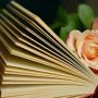 5 Rekomendasi Novel Romantis Indonesia Terbaik yang Diadaptasi Menjadi Film