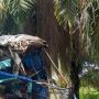 Polisi Ungkap Dugaan Awal Kecelakaan Maut 2 Bus yang Tewaskan 7 Orang di Labusel
