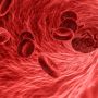 3 Tips Memilih Jenis Makanan untuk Meningkatkan Kadar Hemoglobin Darah
