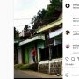 Bikin Geger, Sapi Ini 'Nangkring' di Atap Rumah Warga, Warganet Pada Bertanya-tanya
