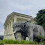Museum Satwa: Koleksi Fauna Bertaraf Internasional dan Penuh Kisah