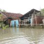 Kerap Terendam Banjir Rob, Kisah Warga Tambaklorok Semarang Meninggikan Rumah hingga Berhutang ke Bank