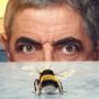 Kembali Hibur Penggemar Lewat Serial Terbarunya, Rowan Atkinson Lawan Lebah di 'Man vs Bee' Netflix