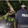 Update Kecelakaan Bus Pariwisata Masuk ke Jurang di Tasikmalaya: Satu Penumpang Belum Ditemukan