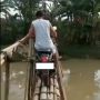 Serasa Uji Nyali, Video Pria Naik Honda Scoopy Seberangi Jembatan Setapak dari Bambu Bikin Kawannya Panik