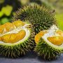 4 Manfaat Buah Durian bagi Kesehatan, Baik Untuk Daya Tahan Tubuh