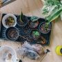 4 Manfaat Penting dari Berkebun, Tidak Harus Punya Lahan Luas