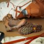 Sepatu Hiking Ini Didesain Khusus untuk Perempuan, Fungsional Sekaligus Elegan