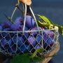 5 Manfaat Mengonsumsi Buah Plum, Salah Satunya Bisa Mengontrol Berat Badan