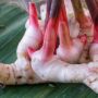 6 Manfaat Lengkuas untuk Kesehatan, Dapat Atasi Rematik dan Bronkitis