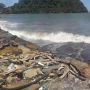Gelombang Tinggi Hantam Pesisir Pantai Padang, Badan Jalan Terendam hingga 1,5 Meter