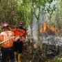 Karhutla Terjadi di Bontang, Dugaan BPBD Masyarakat Buka Lahan dengan Cara Dibakar