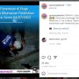 Gempar! Potongan Diduga Tangan Manusia Ditemukan di Pelabuhan Samarinda: Ngeriknya