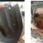 Niat Bongkar Lampu Motor, Pria Ini Justru Temukan Hewan Tak Terduga: Serasa Rumah Mewah bagi Mereka