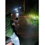 Ngeri! Pengemudi Sepeda Motor Lindas Ular Besar Gegara Hiraukan Peringatan