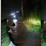 Pengendara Ini Tak Sengaja Lindas Ular Besar yang Melintas di Jalan, Netizen: Terlalu Dimabuk Cinta