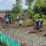 Rawat Ekosistem Lingkungan Laut, DKP Sulsel Tanam 38 Ribu Batang Mangrove 