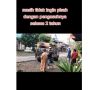 Sapi Ini Lompat dari Mobil Boks Gegara Tak Ingin Pisah dengan Pengasuhnya