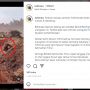 Sedih, Orangutan Terpaku Liat Alat Berat di Tambang Batu Bara Kutim, Tagar #saveorangutan Ramai