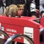 Nongkrong di Gate Stasiun, Kucing ini Bikin Warganet Gemas