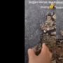 Viral! Pria Ini Garuk Jalan Aspal Hingga Hancur Pakai Tangan Kosong