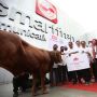 Sambut Idul Adha, Smartfren Bersama Yayasan Muslim Sinar Mas Serahkan Sapi dan Kambing untuk Warga