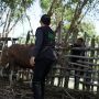 Berkurban Bukan Sebatas Dakwah, Namun Juga Nilai Toleransi dan Persatuan antar Umat