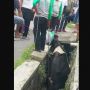 Sampai Berhentikan Lalu Lintas, Sapi Kurban di Bandung Ngamuk hingga Terpaksa Disembelih di Dalam Selokan