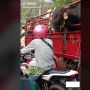 Bukan Wanita, Pria Penunggang Yamaha V-Ixion Digodain Sapi: Helm Nyaris Kena Jilat