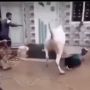 Detik-detik Sapi Kurban Amuk Tukang Jagal Bagai Keluarkan Jurus Kungfu