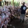 Warga Satu Kampung di Garut Berkurban 800 Domba, Helmi Budiman Acungkan Jempol