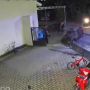 Sapi Kurban Ngamuk Terjang Pagar di Deli Serdang, Netizen Dibuat Kaget Lihat Anak Kecilnya