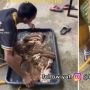 Orang Ini Bersihkan Jeroan Sapi Kurban Pakai Ini: Jangan Lupa Keringin, Setrika Juga Biar Enak Diiris