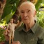 Tokoh Konservasi Gorila Jane Goodall Jadi Koleksi Seri Perempuan Inspiratif Barbie Terbaru