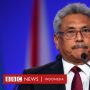 Siapa yang akan Menggantikan Presiden Gotabaya Rajapaksa?