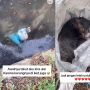 Viral! Temukan Kucing Dalam Karung di Sungai, Kondisinya Begitu Memilukan, Warganet: Jahat Banget!