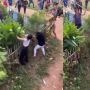 Tersebar Video Para Wanita Berjoget Heboh, Sampai Diusir Pakai Sebilah Kayu karena Rusak Tanaman