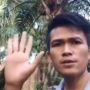 Harga Sawit Anjlok di Bawah Rp1.000 per Kg, Petani Ikhlas Kebunnya Dimaling