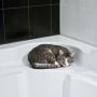 Mengapa Kucing Sering Ikut ke Kamar Mandi? 3 Hal Ini Bisa Jadi Alasannya