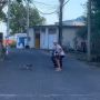 Bule Usil Hendak Goda Monyet Malah Lari Terbirit-birit Saat Dikejar